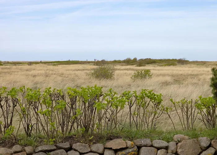 Wellenreiter Appartement *